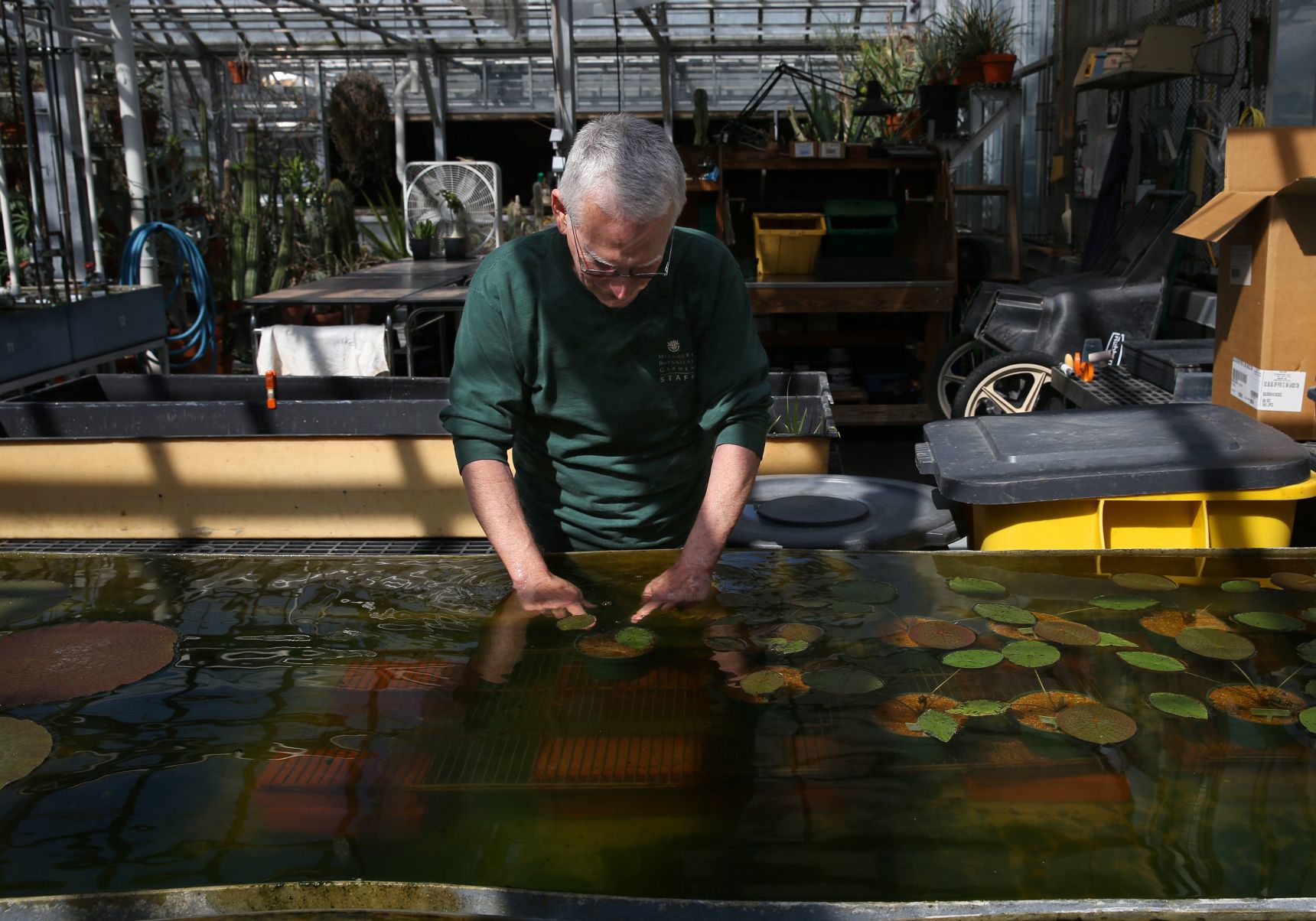 Longtime MoBot horticulturist retiring